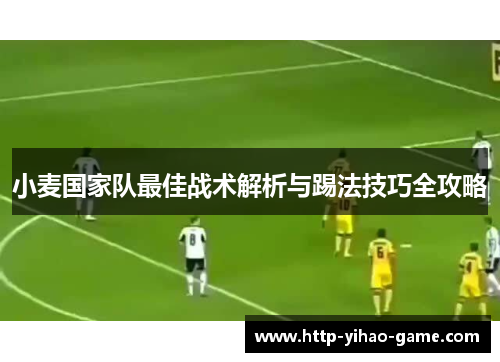 小麦国家队最佳战术解析与踢法技巧全攻略