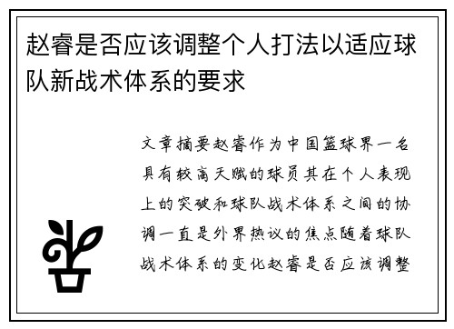 赵睿是否应该调整个人打法以适应球队新战术体系的要求