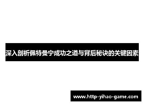 深入剖析佩特曼宁成功之道与背后秘诀的关键因素